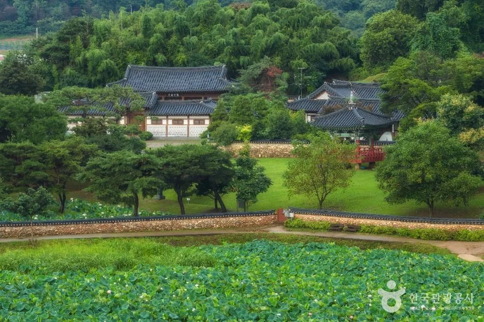 시흥_관곡지 (1)
