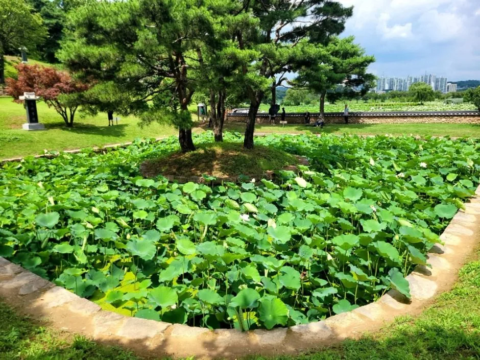 관곡지