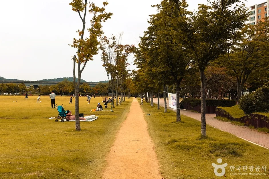 율하체육공원 (11)