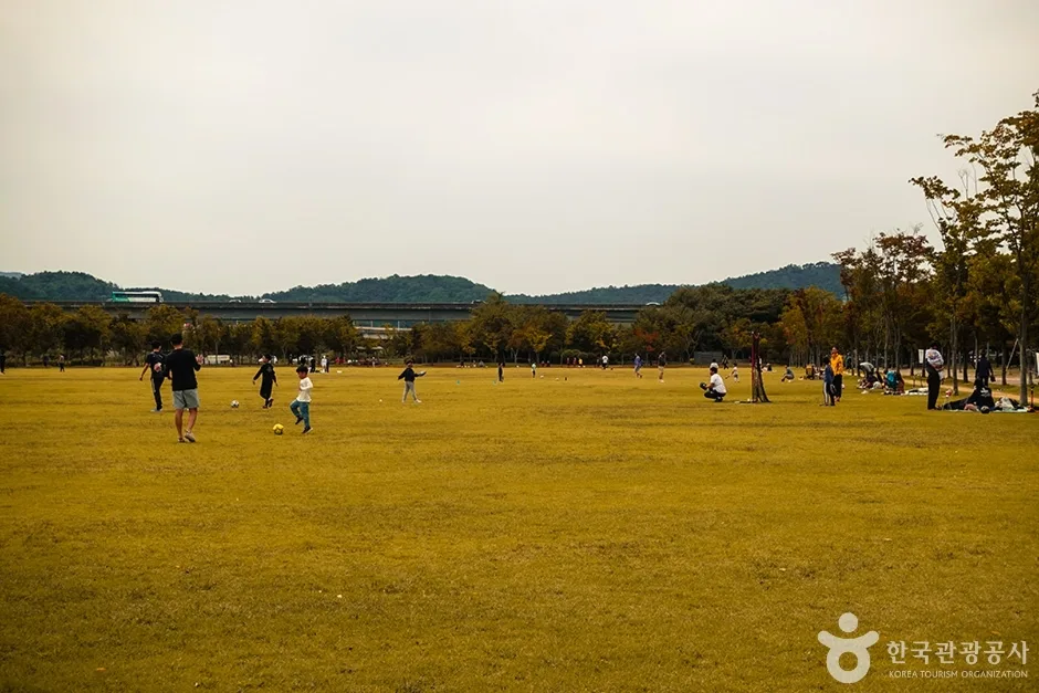 율하체육공원 (5)