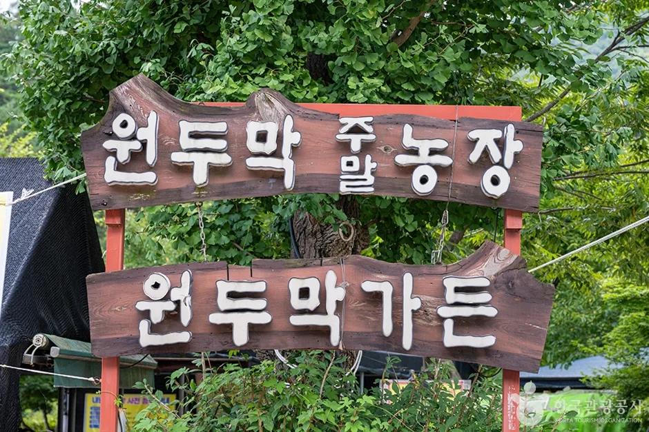 원두막주말농장 (3)