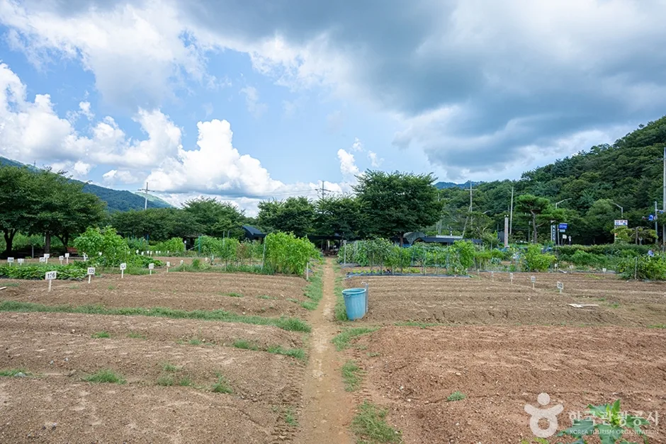 원두막주말농장 (12)