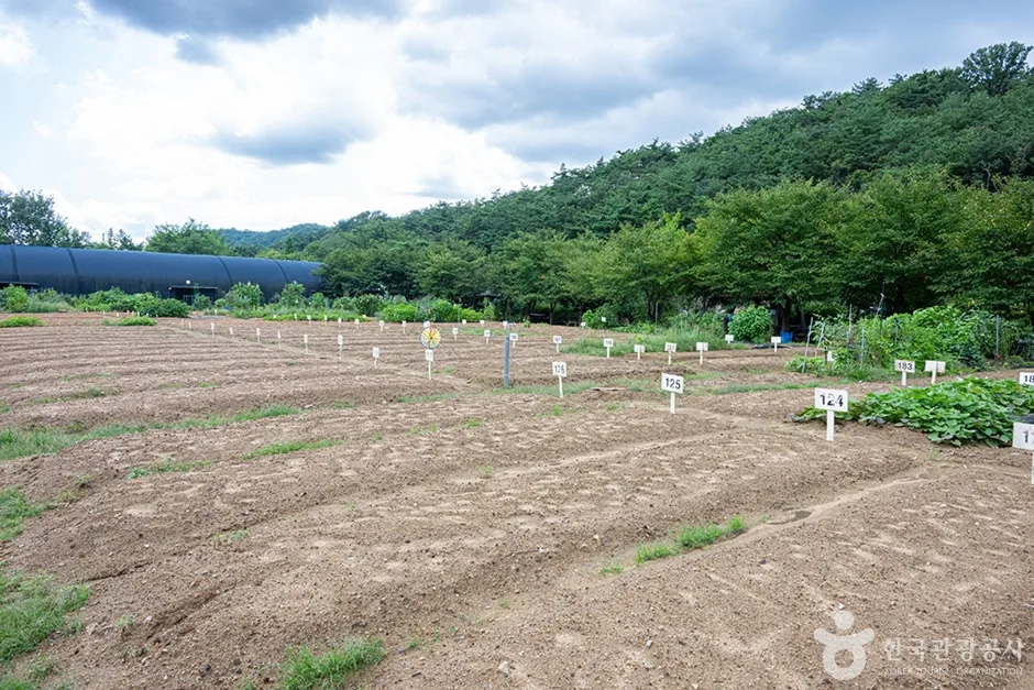 원두막주말농장 (11)