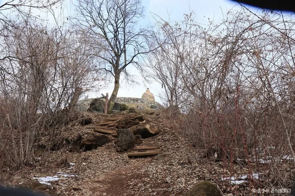 충주_충주 대림산성 (5)