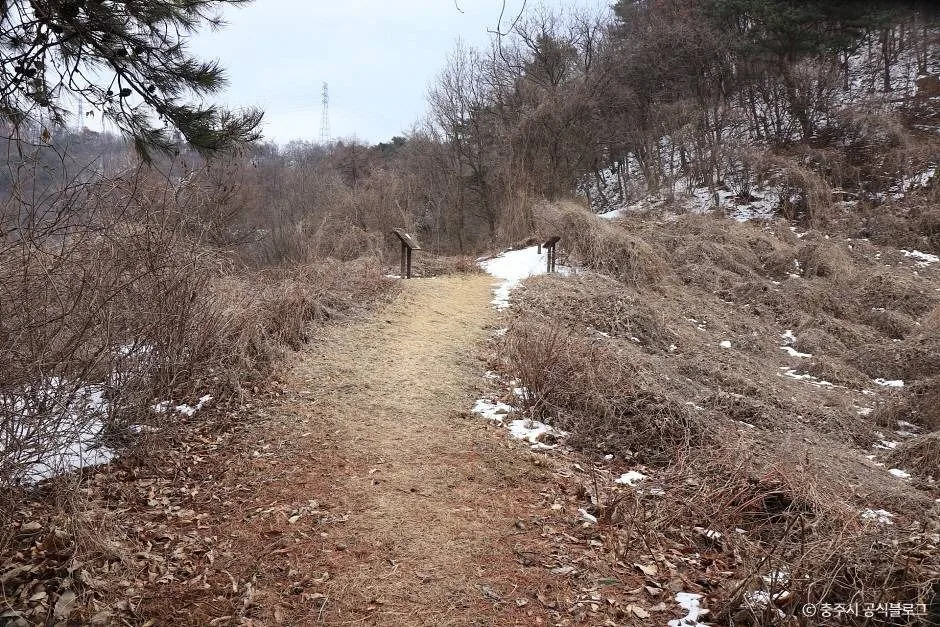 충주_충주 대림산성 (4)
