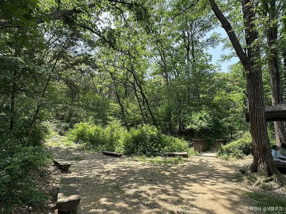 과천_서울대공원 산림욕장 (3)