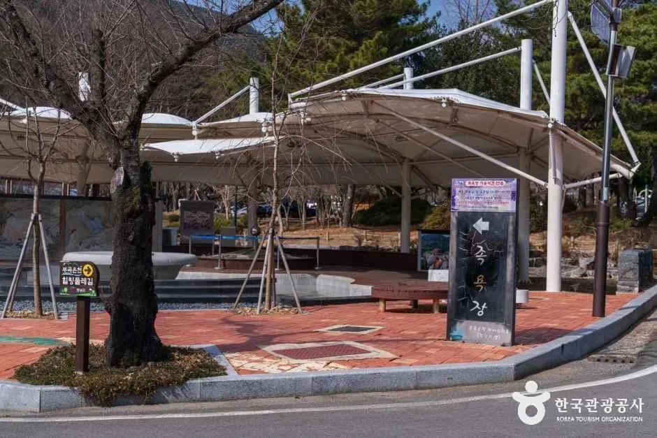 창녕_부곡온천 관광특구 (6)