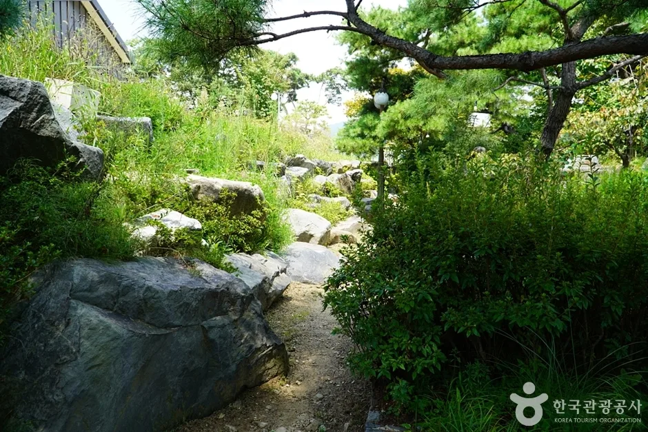 밤섬유원지 (9)