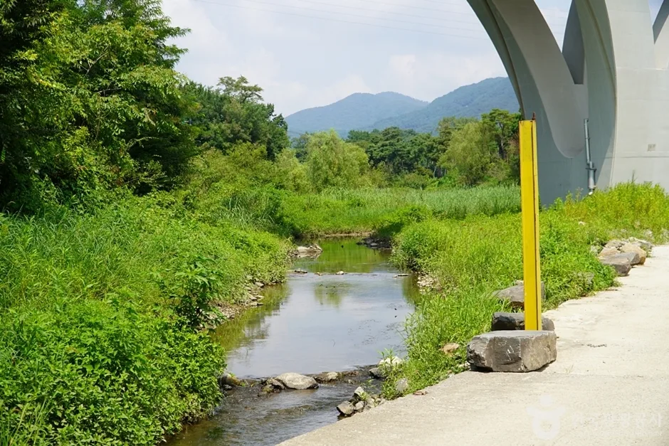 밤섬유원지 (3)