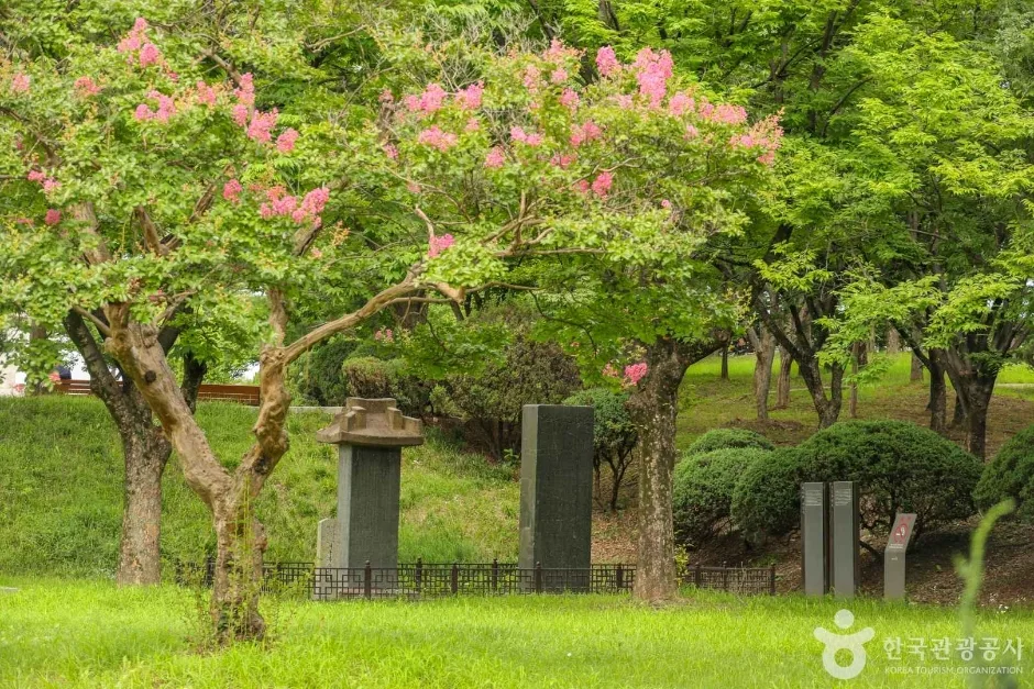 대구부수성비 (2)