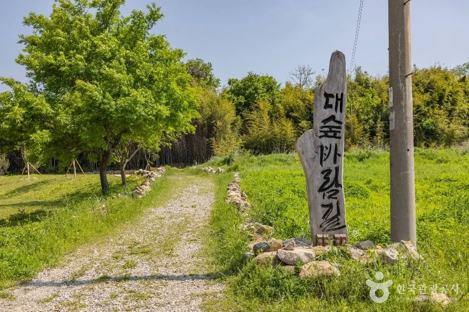당진_대숲바람길 (1)