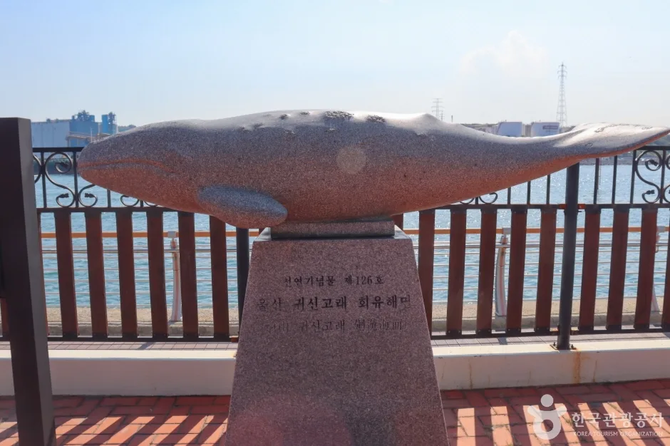 울산_귀신고래 회유해면 (2).jpg