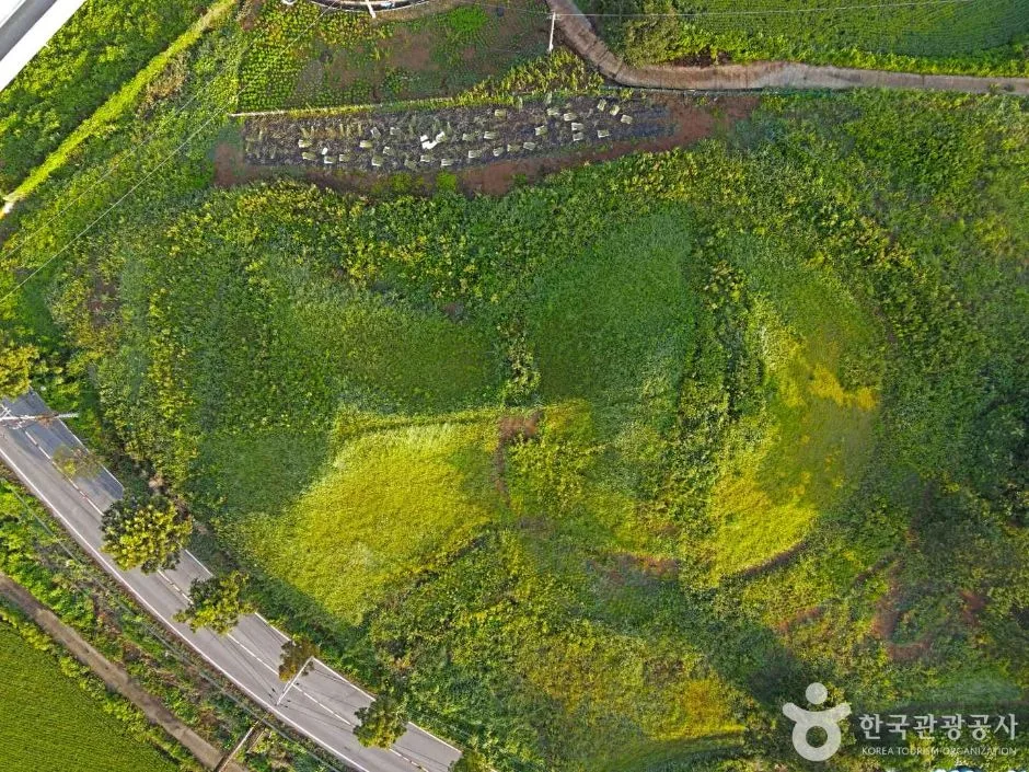 함평죽암리고분 (6)