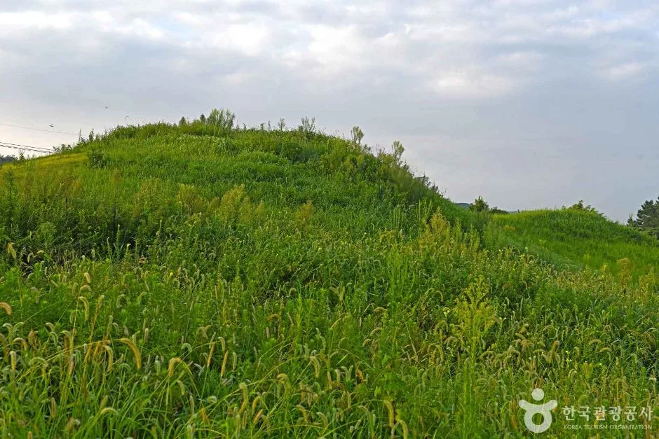 함평죽암리고분 (5)