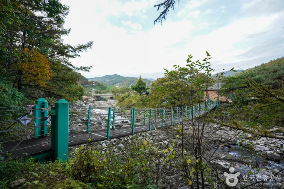 경북_예천_예천 출렁다리마을 (9)