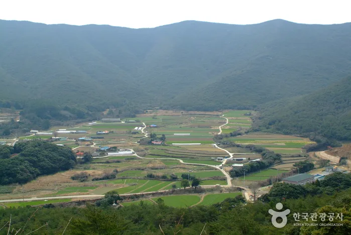 동천석실