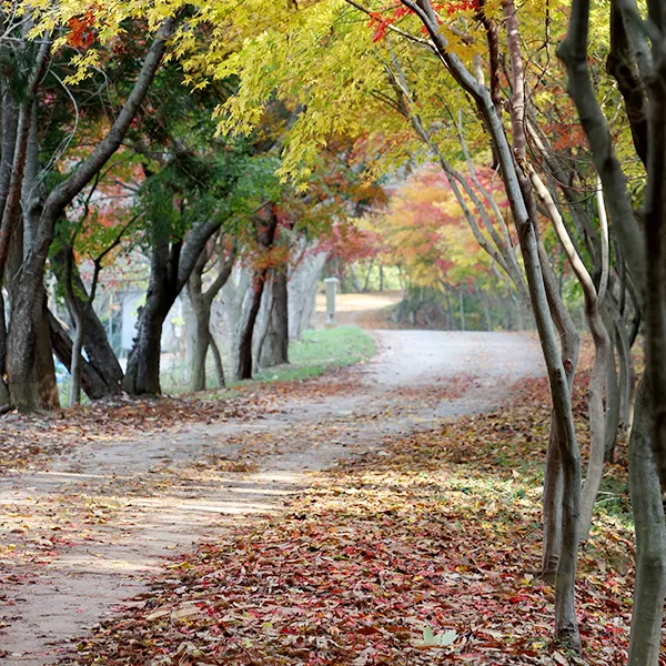 영광_물무산 행복숲 (3).jpg