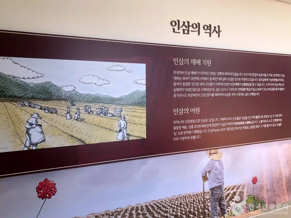 강원_원주_원주 고려인삼창 (21)