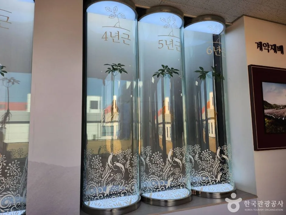 강원_원주_원주 고려인삼창 (14)