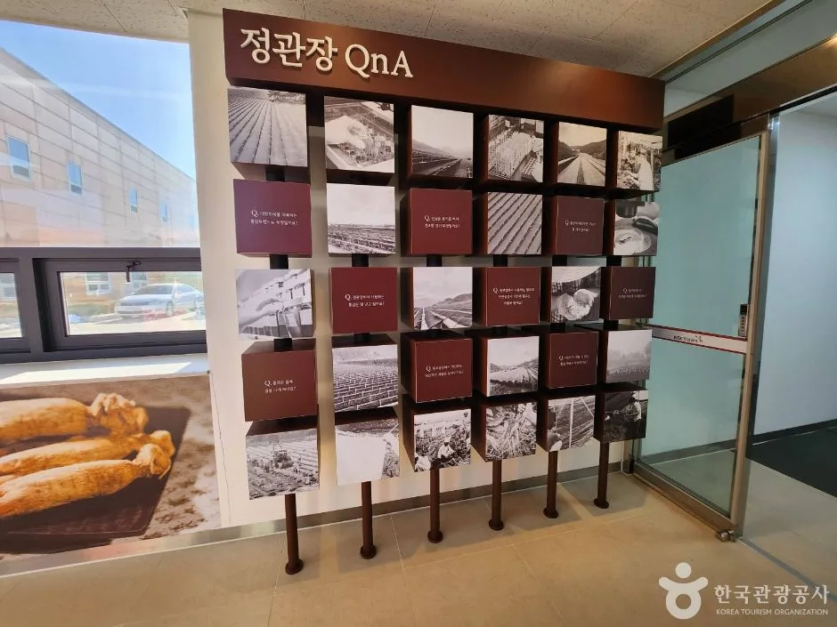 강원_원주_원주 고려인삼창 (8)