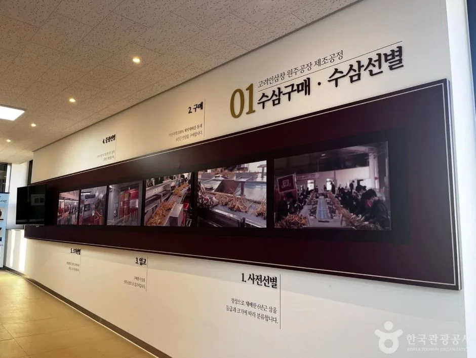 강원_원주_원주 고려인삼창 (23)