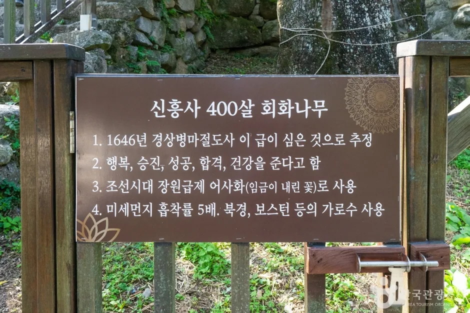신흥사006