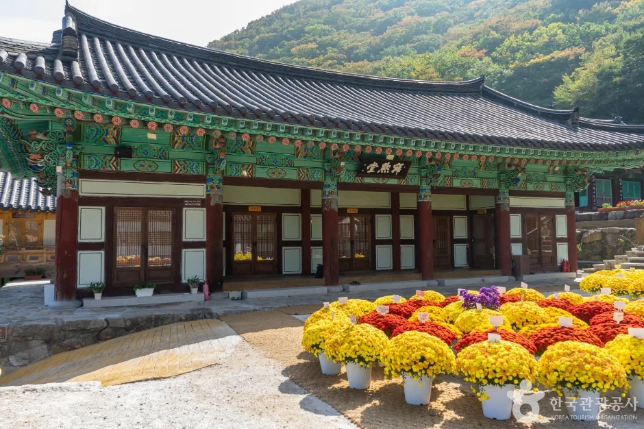신흥사011