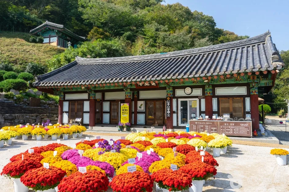 신흥사012