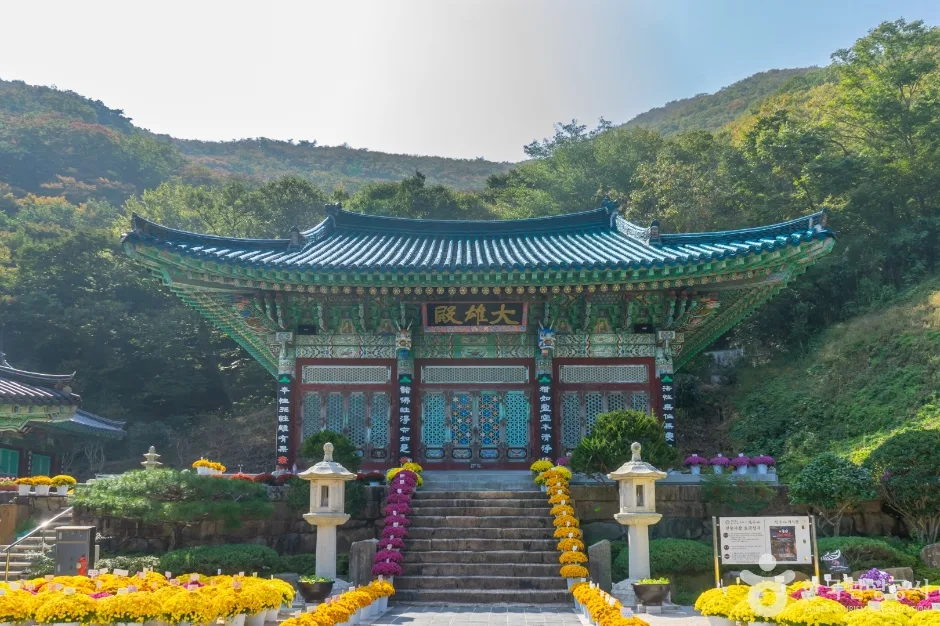 신흥사010
