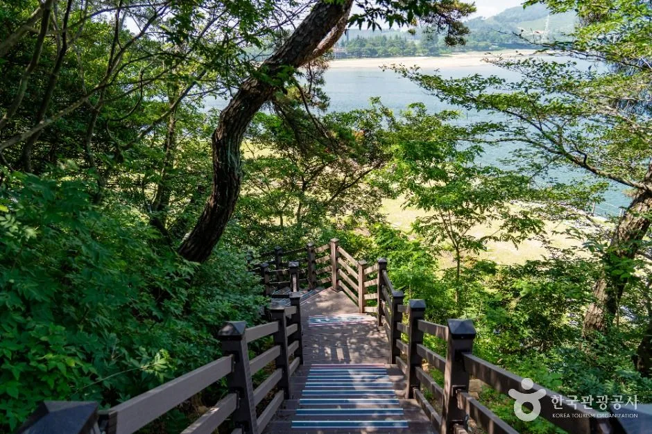 광양_배알도 섬 정원 (3)
