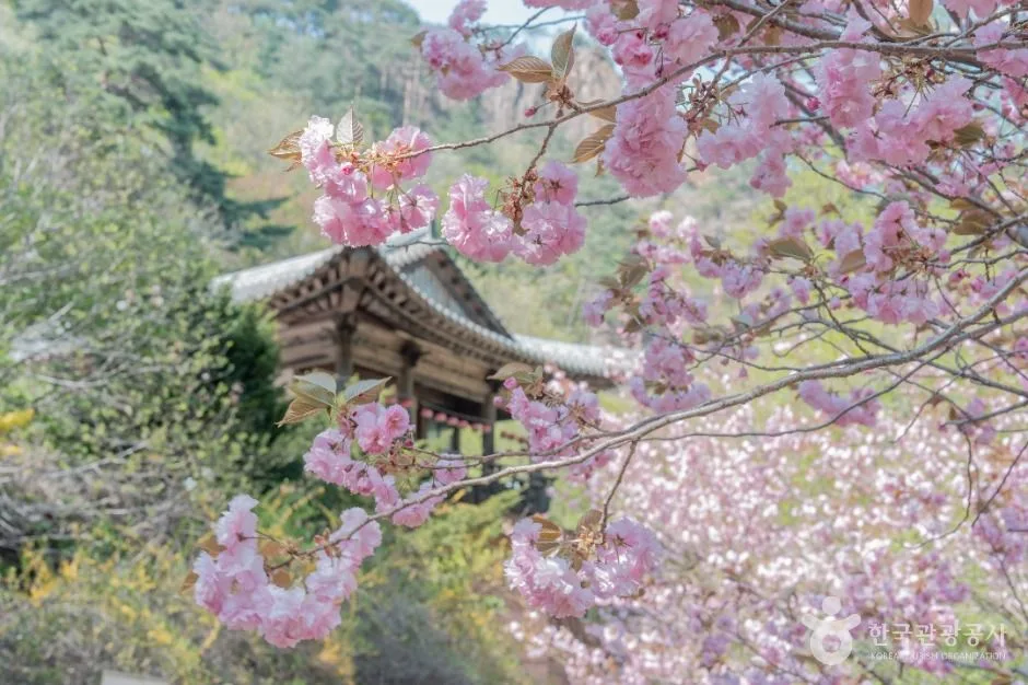 설악산국립공원