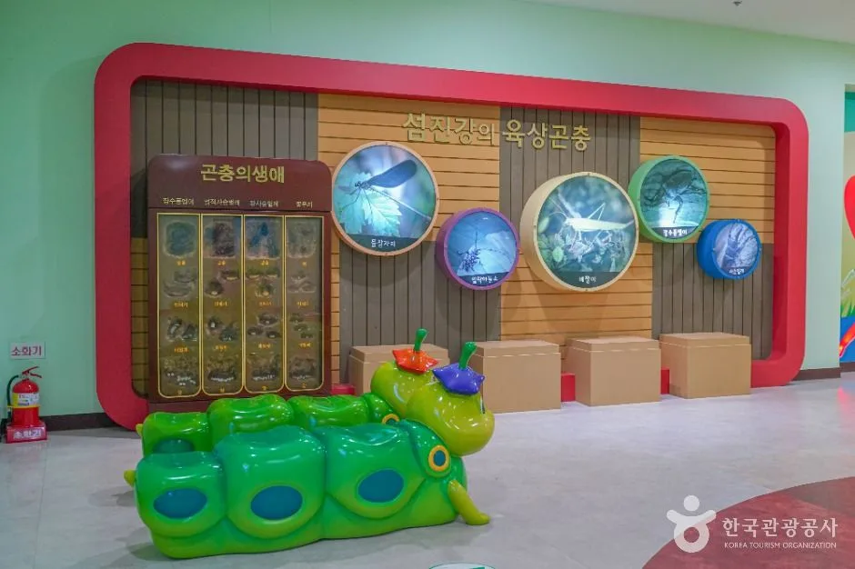 전남광주통합특별시_곡성_섬진강기차마을생태학습관_내부_3.jpg