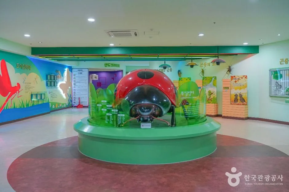 전남광주통합특별시_곡성_섬진강기차마을생태학습관_내부_2.jpg