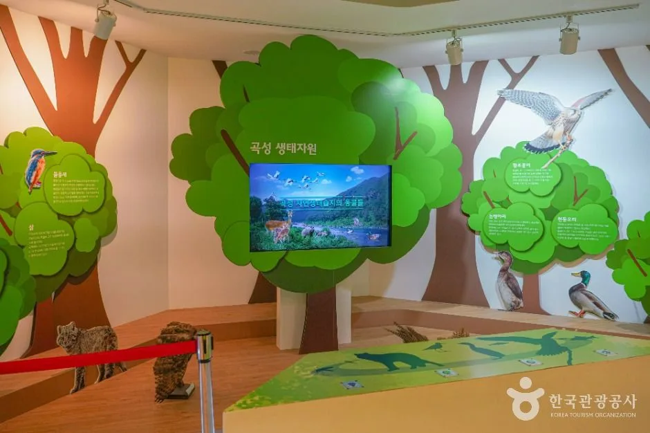 전남광주통합특별시_곡성_섬진강기차마을생태학습관_내부_1.jpg