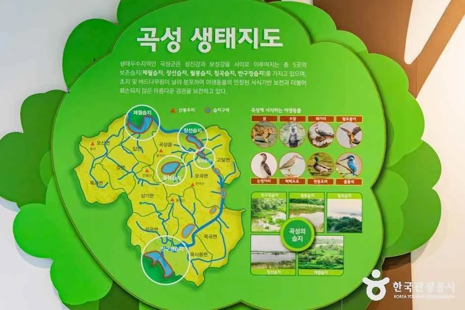 곡성_섬진강기차마을생태학습관 (5)