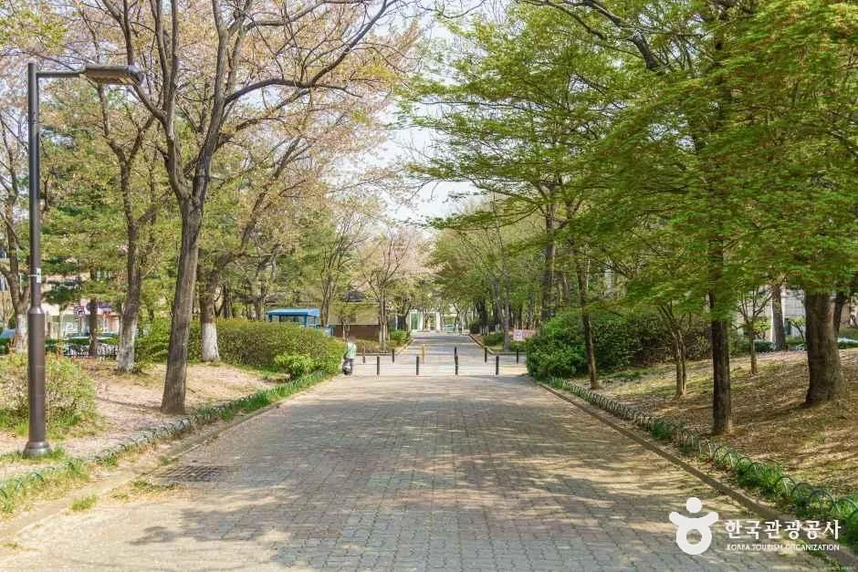 고양_밤가시공원 (2).jpg