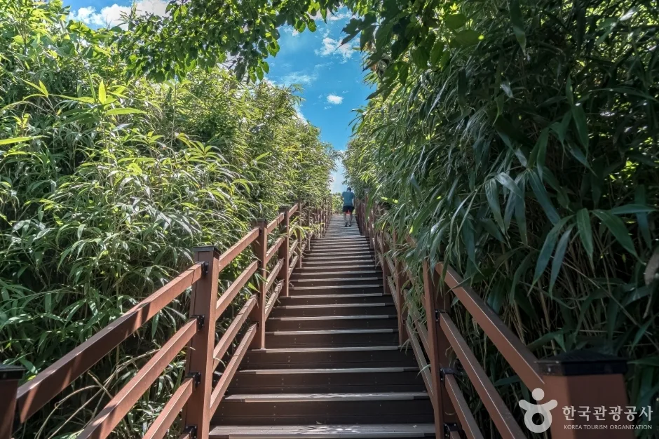 덕봉산정상1