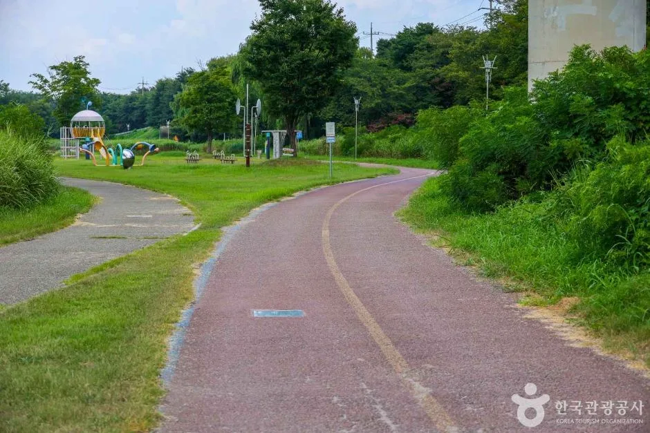 광주_영산강 자전거길 (6)