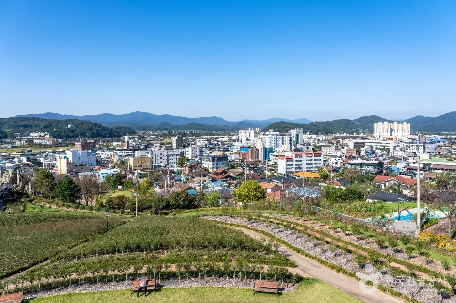 장성_장성무궁화공원 (3)