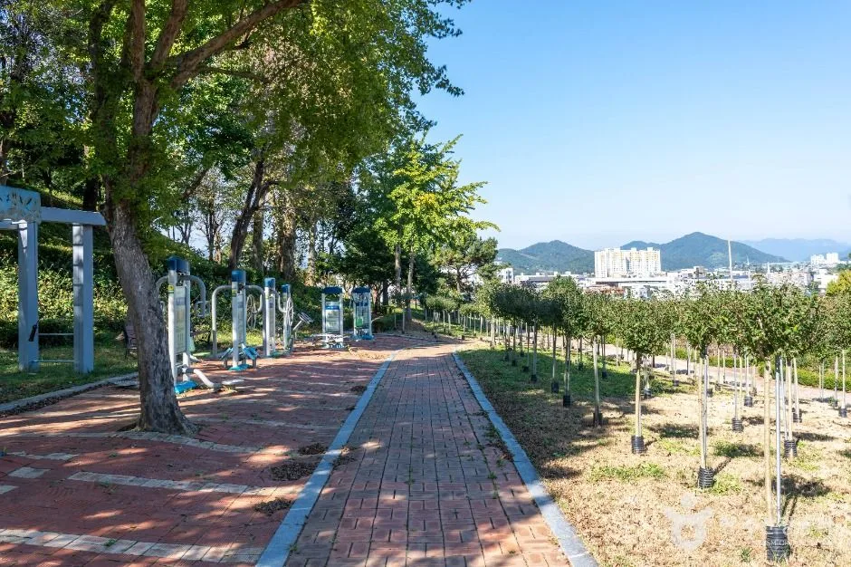 장성_장성무궁화공원 (4)