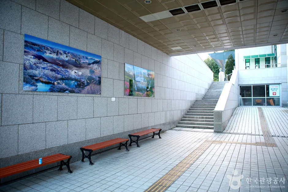 태백시 문화예술회관 (13)