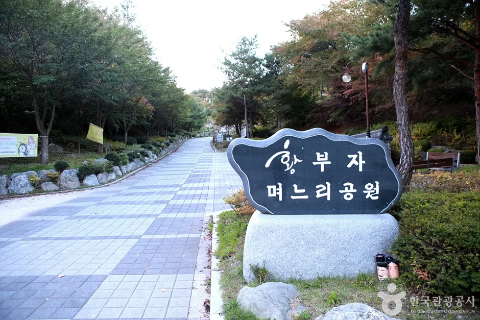 태백시 문화예술회관 (6)