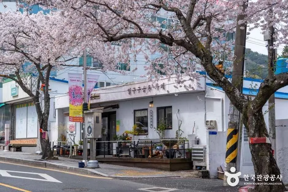 경남_통영_봉숫골벚꽃길_외부_03.jpg