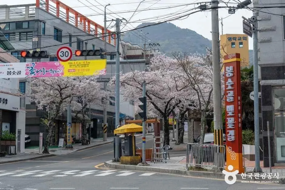 경남_통영_봉숫골벚꽃길_외부_02.jpg