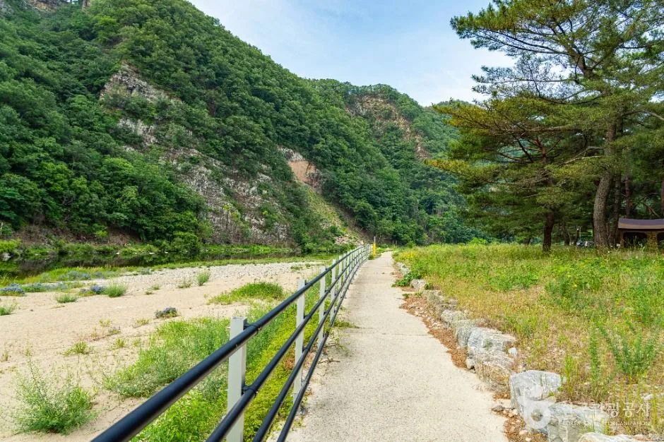 영덕_오천솔밭유원지 (4)