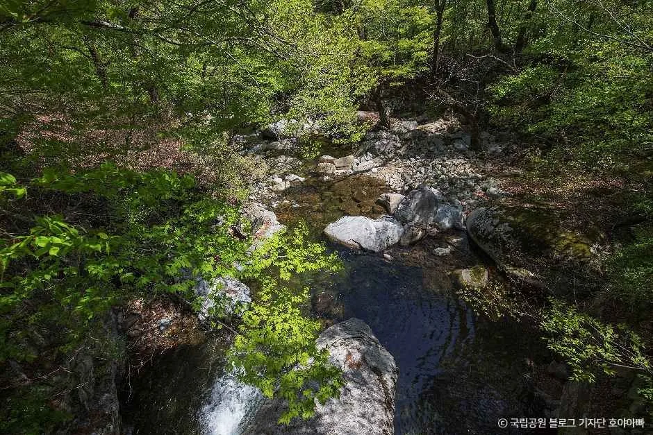 가야산국립공원(합천)