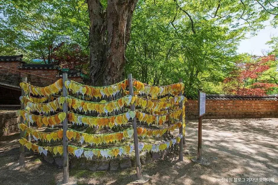 합천_가야산국립공원(합천 (2).jpg