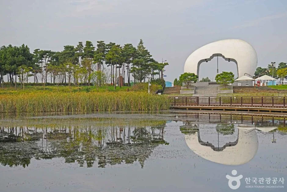 서구_아라빛섬 (6)