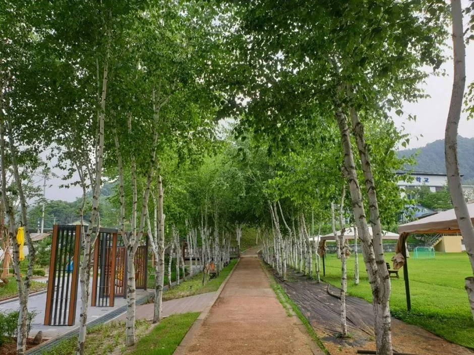 화천_화천 토고미마을 (5)