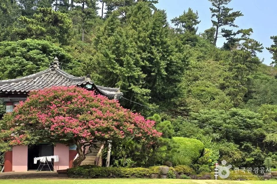 월영사(제주)_e (4)